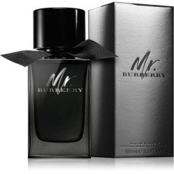 mr burberry edp 100